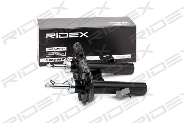 RIDEX 854S1355