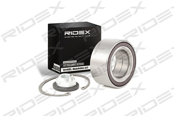 RIDEX 654W0294