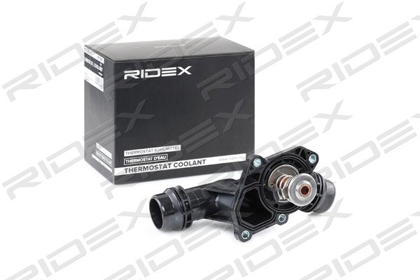 RIDEX 316T0042