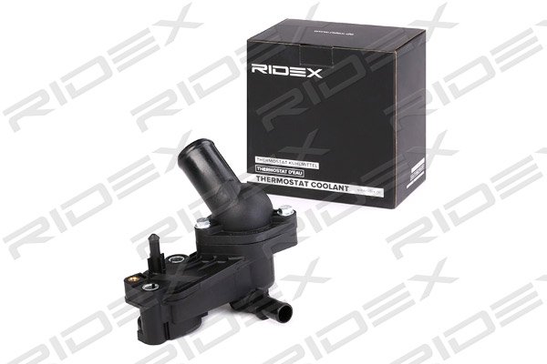 RIDEX 316T0146