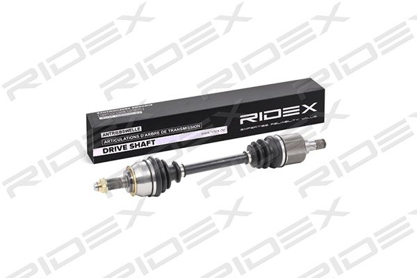 RIDEX 13D0171
