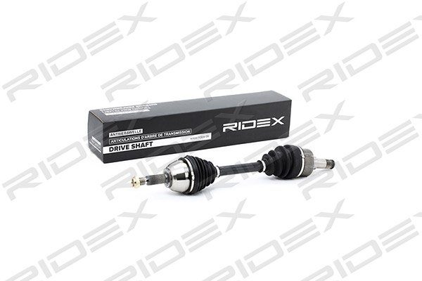 RIDEX 13D0075