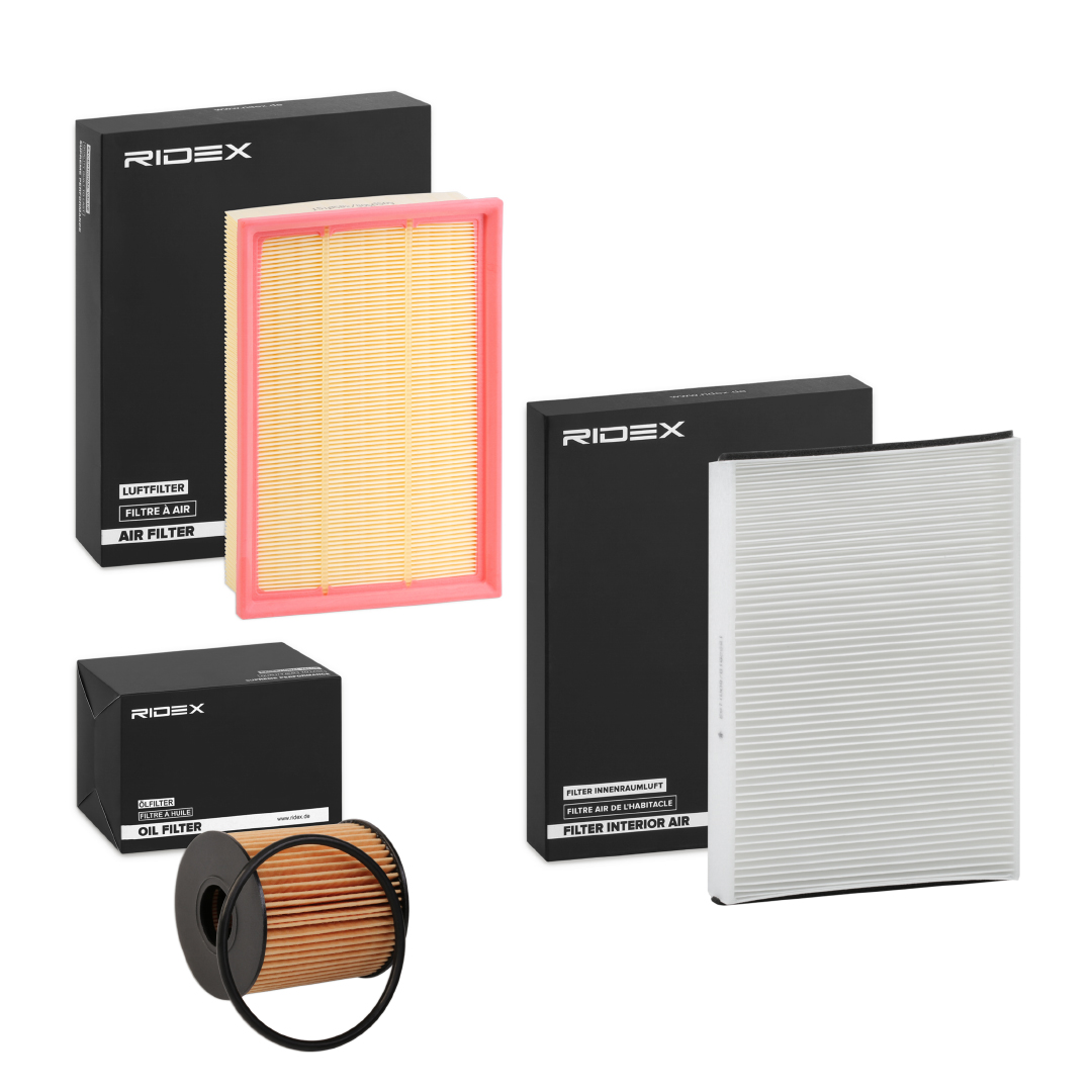 RIDEX 4055F19812