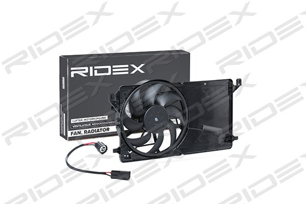 RIDEX 508R0060