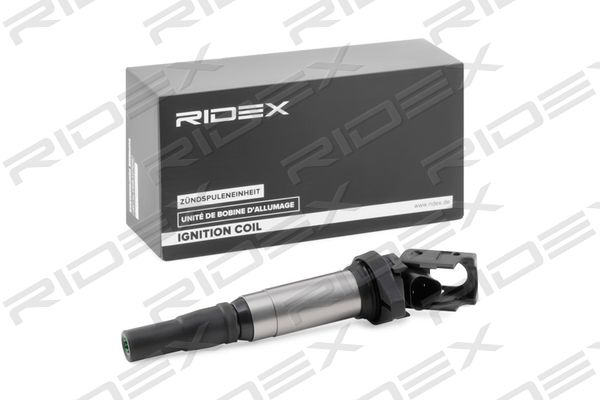 RIDEX 689C0343