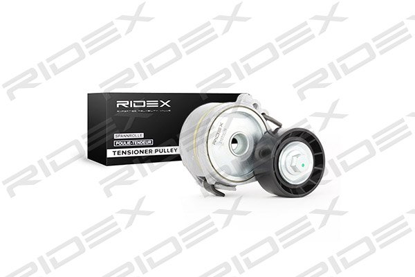RIDEX 310T0039