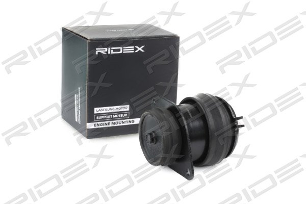RIDEX 247E0201
