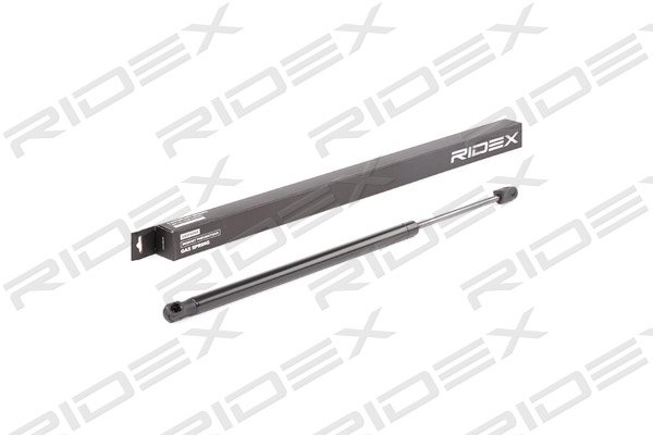 RIDEX 219G0607