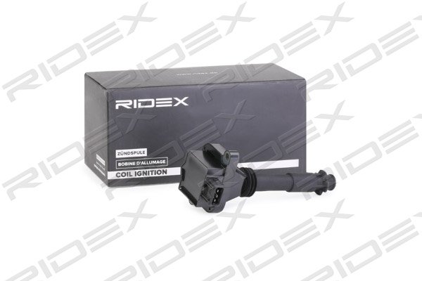 RIDEX 689C0306