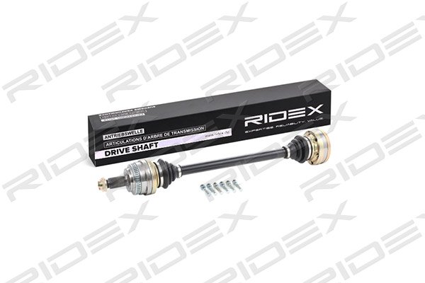 RIDEX 13D0154