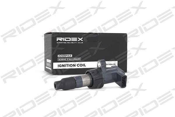 RIDEX 689C0055