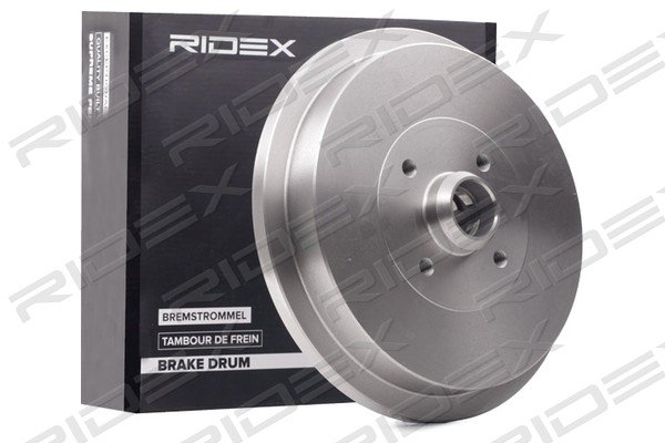 RIDEX 123B0122