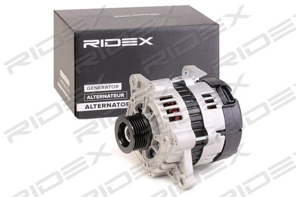 RIDEX 4G0381