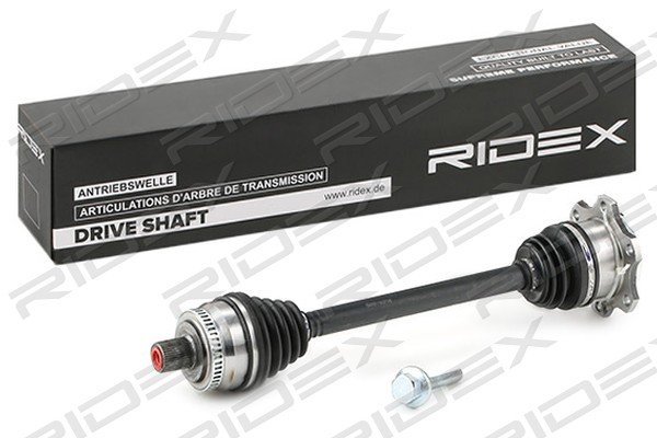 RIDEX 13D0573