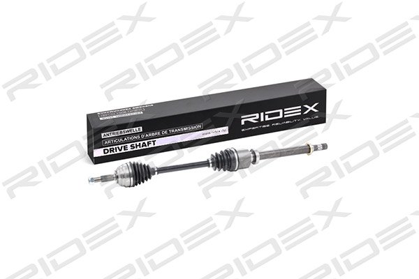 RIDEX 13D0214