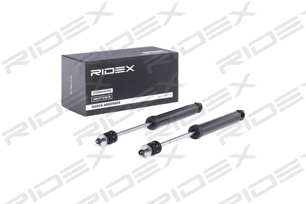 RIDEX 854S2215