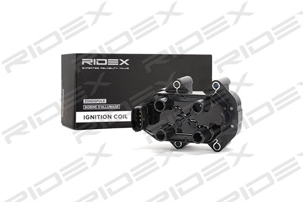 RIDEX 689C0125