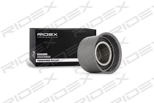 RIDEX 313D0111