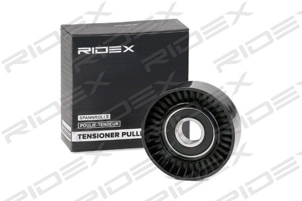 RIDEX 310T0168