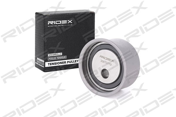 RIDEX 308T0119