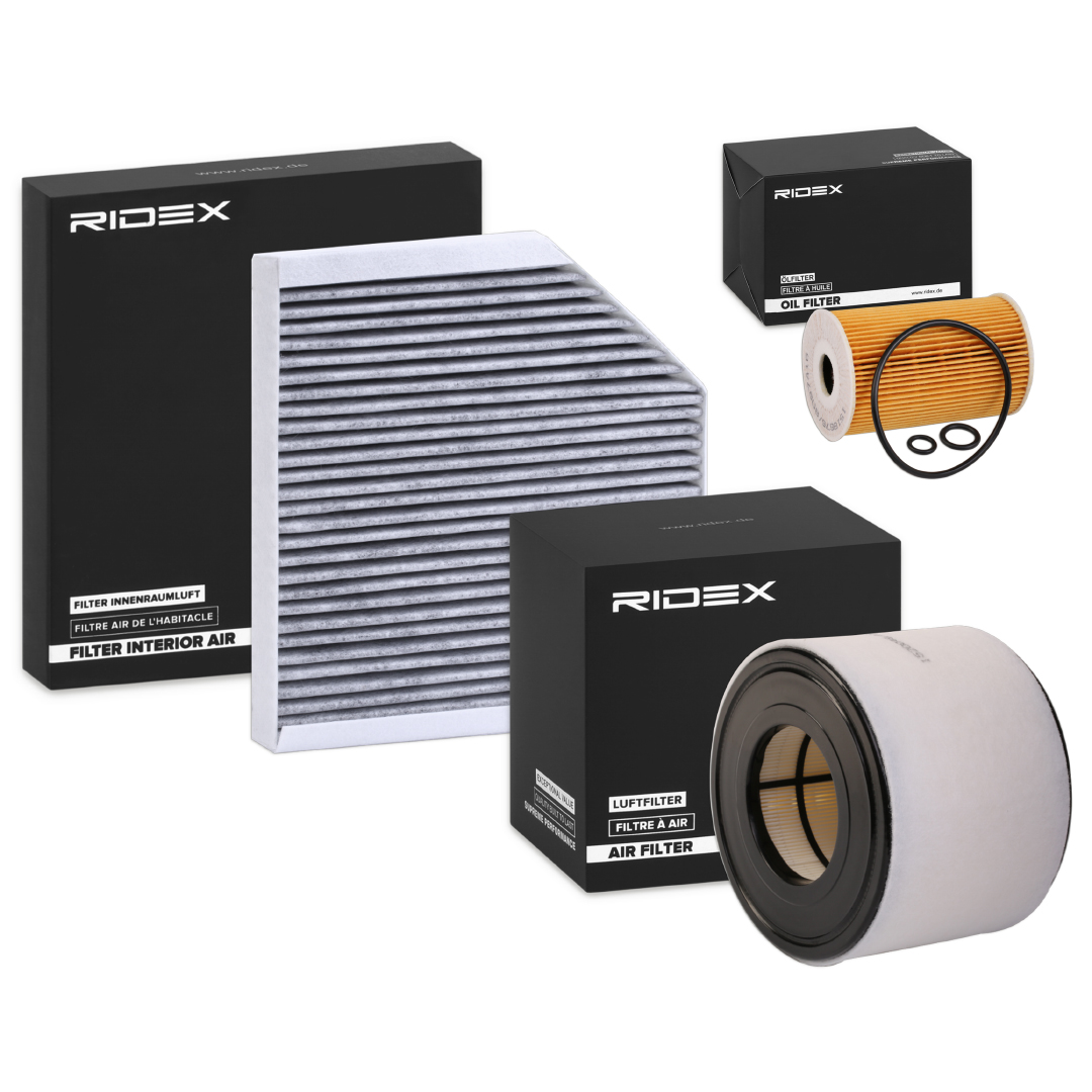 RIDEX 4055F19599