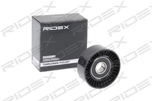 RIDEX 310T0090