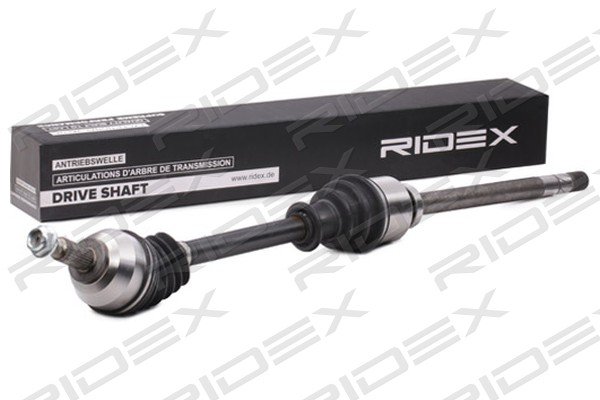 RIDEX 13D0564