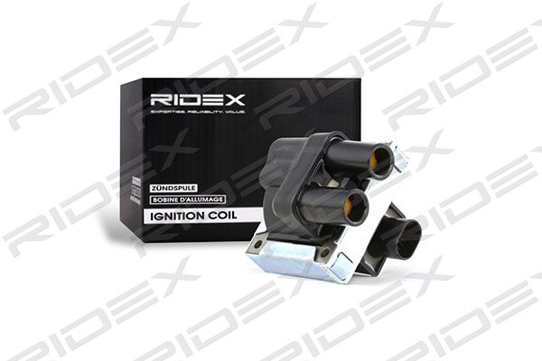 RIDEX 689C0012