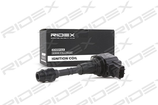 RIDEX 689C0173