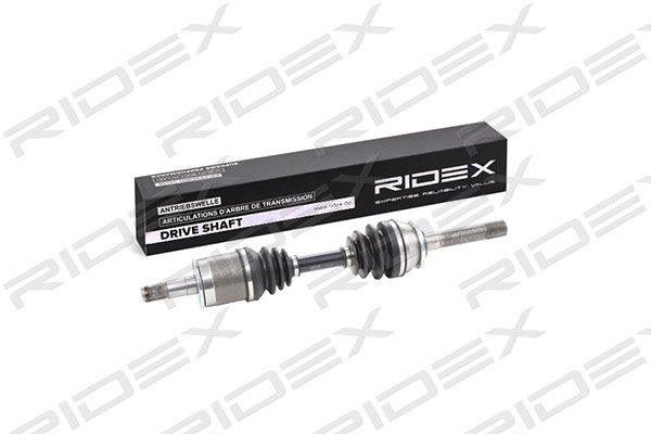 RIDEX 13D0206