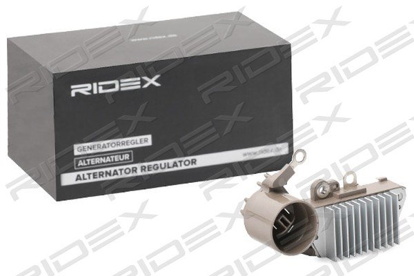 RIDEX 288R0051