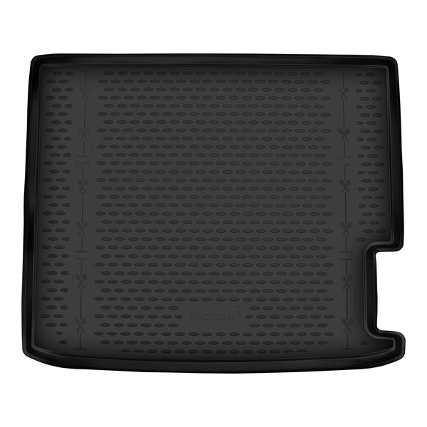 RIDEX 4731A0392
