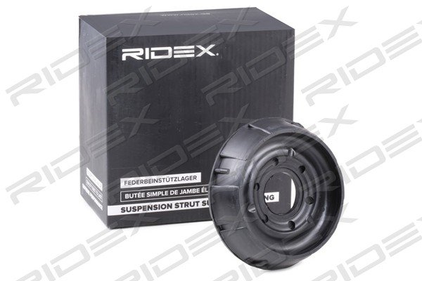 RIDEX 1180S0217