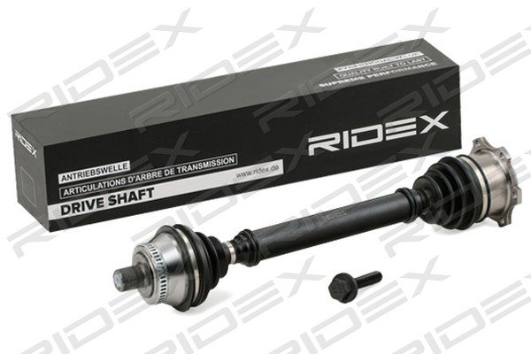 RIDEX 13D0541