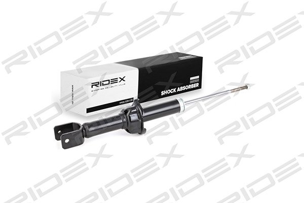 RIDEX 854S0389