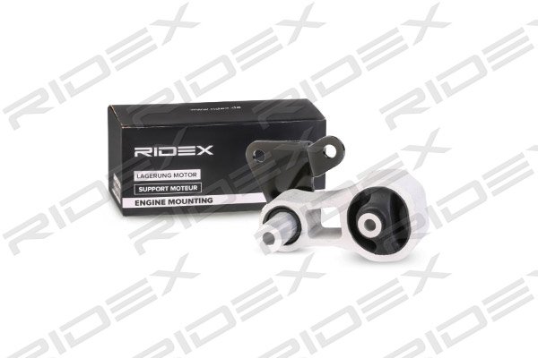 RIDEX 247E0100