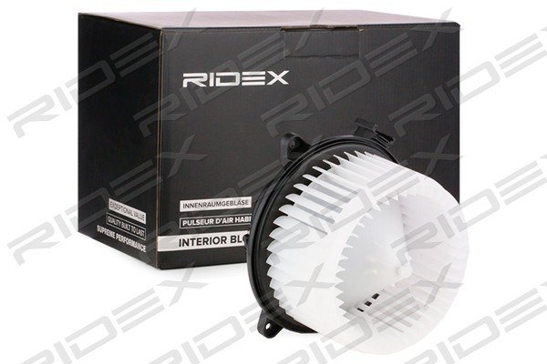 RIDEX 2669I0121