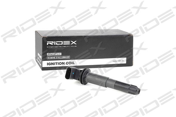 RIDEX 689C0224