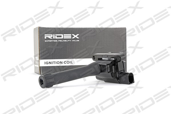 RIDEX 689C0060
