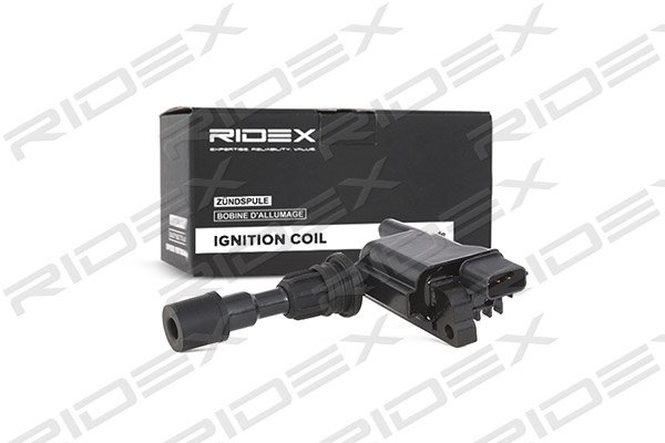 RIDEX 689C0097