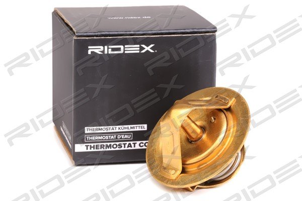 RIDEX 316T0045