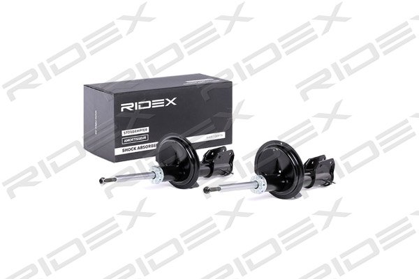 RIDEX 854S1659