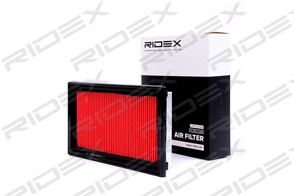 RIDEX 8A0120