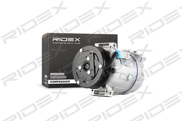 RIDEX 447K0101