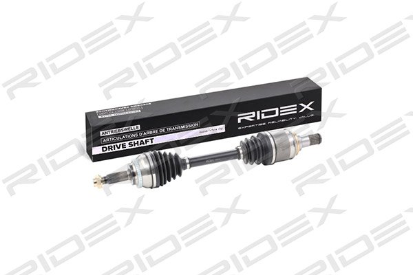 RIDEX 13D0118