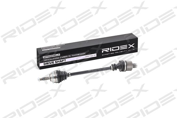 RIDEX 13D0040