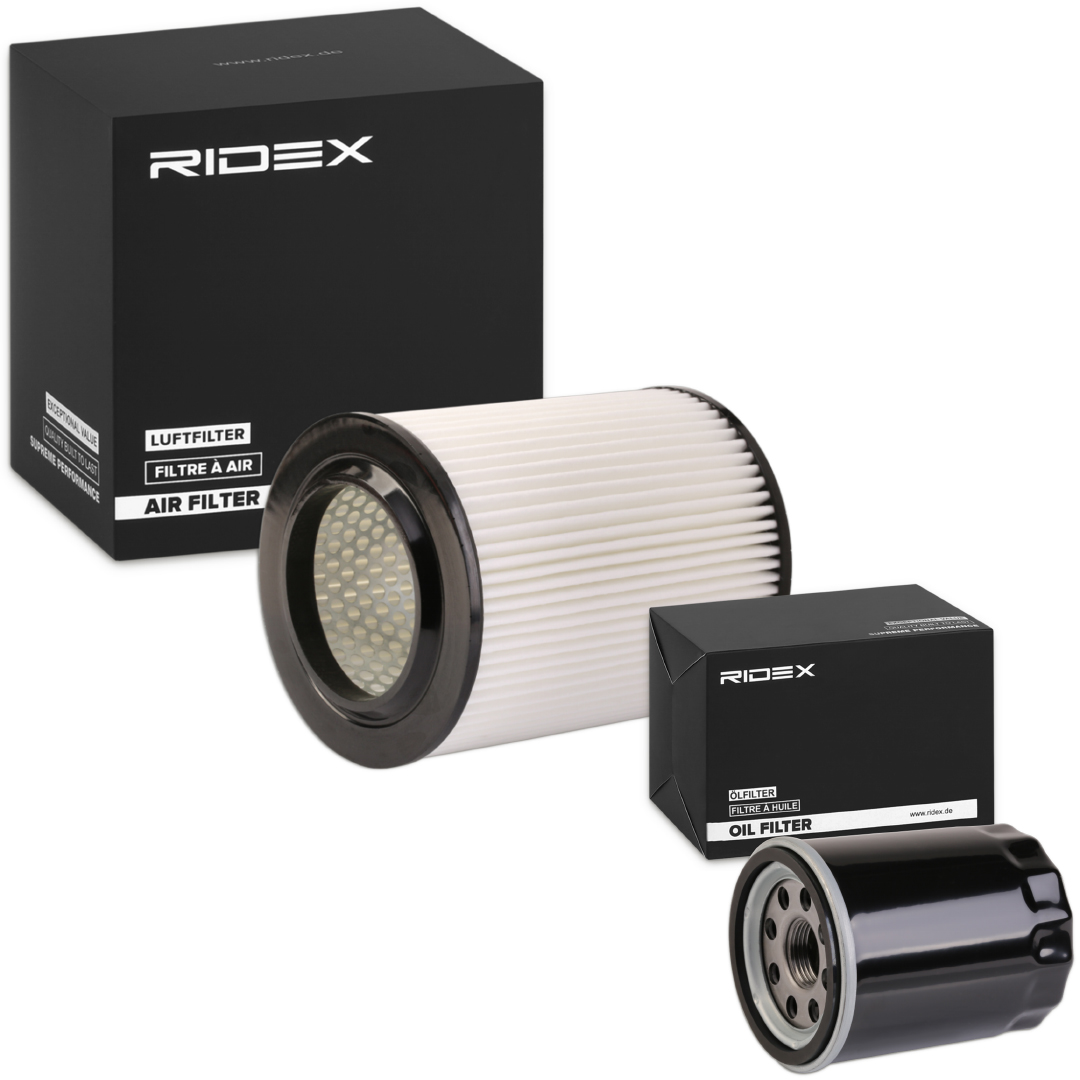 RIDEX 4055F0973