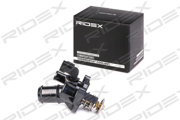 RIDEX 316T0102