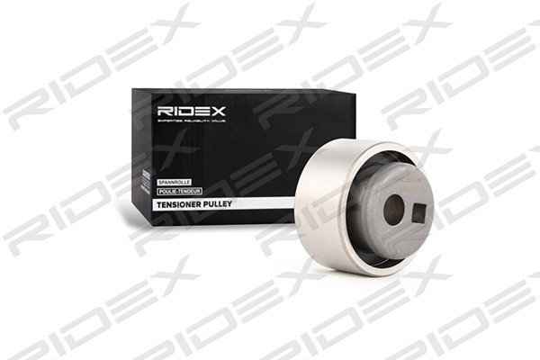RIDEX 308T0150