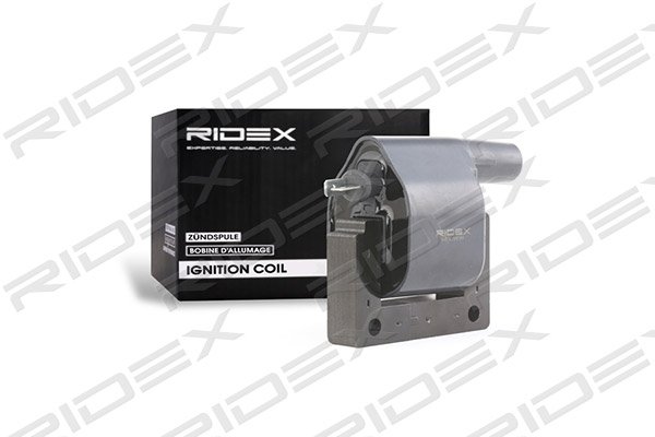 RIDEX 689C0190